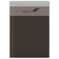 Tárgyalási napló fehér lapokkal Trinity A5 napló Fekete Dayliner Dátum nélküli Író- irodaszer, papíráru Dayliner