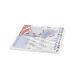Elválasztólap, A4, Maxi regiszteres 1-31 laminált karton előlap 100210 Esselte Író- irodaszer, papíráru Esselte