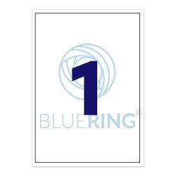 Etikett címke, 210x297mm, 100 lap, 1 címke/lap Bluering® Író- irodaszer, papíráru Bluering