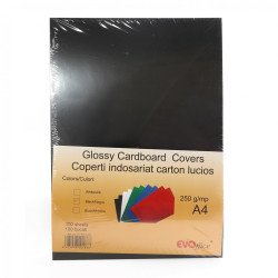 Hátlap, A4, 250 g. fényes 100 db/csomag, Evo fekete Irodatechnika, kellékei Evo