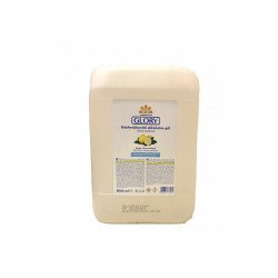 Kéz- és bőrfertőtlenítő gél 5 liter Glory Iroda üzemeltetés, munkavédelem Glory