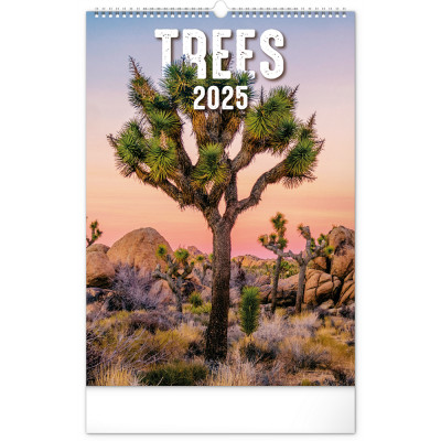 Falinaptár képes  330×460mm Trees  Realsystem 2026.