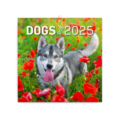 Falinaptár képes lemeznaptár 300x300mm, Dogs Realsystem 2027.