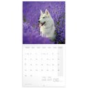 Falinaptár képes lemeznaptár 300x300mm, Dogs Realsystem 2027.