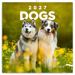 Falinaptár képes lemeznaptár 300x300mm, Dogs Realsystem 2027.