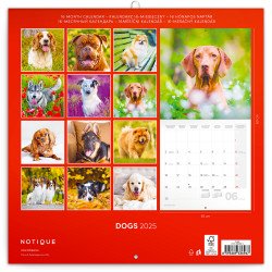 Falinaptár képes lemeznaptár 300x300mm, Dogs Realsystem 2026. Író- irodaszer, papíráru Realsystem