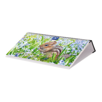 Asztali naptár fehér lapokkal 320 × 150 mm Természet világa fekvő műbör hátlappal fekete Dayliner 2024.