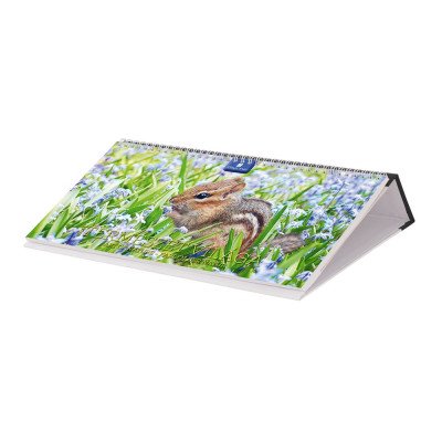 Asztali naptár fehér lapokkal 320 × 150 mm Természet világa fekvő műbör hátlappal fekete Dayliner 2024. Asztali naptár fehér lapokkal 320 × 150 mm Természet világa fekvő műbör hátlappal fekete Dayliner 2024.