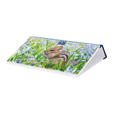 Asztali naptár fehér lapokkal 320 × 150 mm Természet világa fekvő műbör hátlappal kék Dayliner 2024. Asztali naptár fehér lapokkal 320 × 150 mm Természet világa fekvő műbör hátlappal kék Dayliner 2024.
