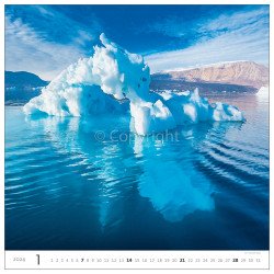 Falinaptár képes 340 × 325 mm Aqua Dayliner 2024. Író- irodaszer, papíráru Dayliner