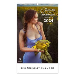 Falinaptár képes 340 × 485 mm Charm of the Moments Dayliner 2024. Író- irodaszer, papíráru Dayliner