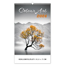 Falinaptár képes 315 × 450 mm Colour Art Dayliner 2024. Író- irodaszer, papíráru Dayliner