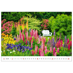 Falinaptár képes 450 × 315 mm Gardens Dayliner 2024.