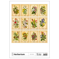 Falinaptár képes 315 × 450 mm Herbarium Dayliner 2024.
