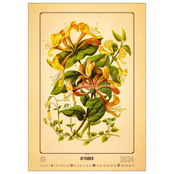 Falinaptár képes 315 × 450 mm Herbarium Dayliner 2024.