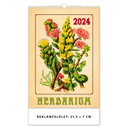 Falinaptár képes 315 × 450 mm Herbarium Dayliner 2024. Író- irodaszer, papíráru Dayliner