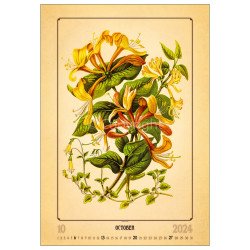 Falinaptár képes 315 × 450 mm Herbarium Dayliner 2024. Író- irodaszer, papíráru Dayliner