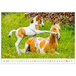 Falinaptár képes 450 × 315 mm Horses Dayliner 2024.