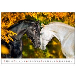 Falinaptár képes 450 × 315 mm Horses Dayliner 2024. Író- irodaszer, papíráru Dayliner