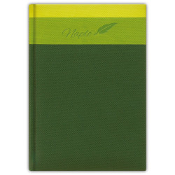 Tárgyalási napló fehér lapokkal Trinity A5 napló Zöld Dayliner Dátum nélküli Író- irodaszer, papíráru Dayliner