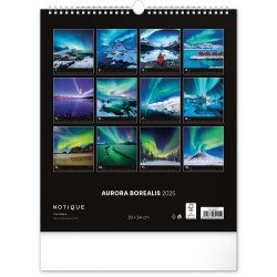 Falinaptár képes  300x340mm Aurora Borealis Realsystem 2026. Író- irodaszer, papíráru Realsystem