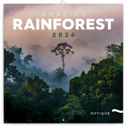 Falinaptár képes lemeznaptár 300x300mm, Amazing Rainforest Realsystem 2026. Író- irodaszer, papíráru Realsystem
