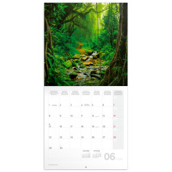 Falinaptár képes lemeznaptár 300x300mm, Amazing Rainforest Realsystem 2026.