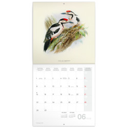Falinaptár képes lemeznaptár 300x300mm, Birds in Art Realsystem 2026. Író- irodaszer, papíráru Realsystem