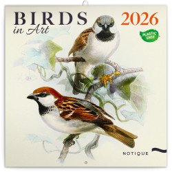 Falinaptár képes lemeznaptár 300x300mm, Birds in Art Realsystem 2026. Író- irodaszer, papíráru Realsystem