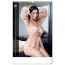 Falinaptár képes 330x460mm, Girls Exclusive Realsystem 2027.