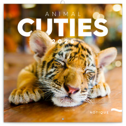 Falinaptár képes lemeznaptár 300x300mm, Animal Cuties Realsystem 2026. Író- irodaszer, papíráru Realsystem