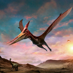 Falinaptár képes lemeznaptár 300x300mm, Dinosaurs Realsystem 2027.
