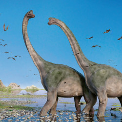 Falinaptár képes lemeznaptár 300x300mm, Dinosaurs Realsystem 2027.