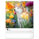 Falinaptár képes  300x340mm Dogs Realsystem 2026.