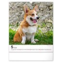 Falinaptár képes  300x340mm Dogs Realsystem 2026.