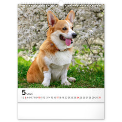 Falinaptár képes  300x340mm Dogs Realsystem 2026.
