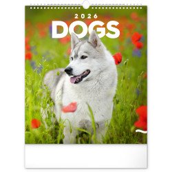 Falinaptár képes  300x340mm Dogs Realsystem 2026. Író- irodaszer, papíráru Realsystem
