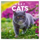 Falinaptár képes lemeznaptár 300x300mm, Cats Realsystem 2027.