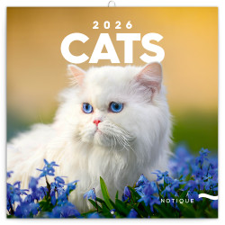 Falinaptár képes lemeznaptár 300x300mm, Cats Realsystem 2026. Író- irodaszer, papíráru Realsystem