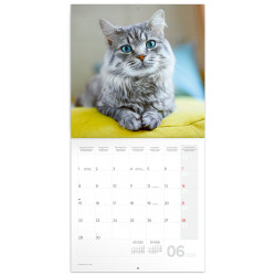 Falinaptár képes lemeznaptár 300x300mm, Cats Realsystem 2026. Író- irodaszer, papíráru Realsystem