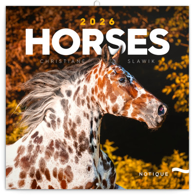 Falinaptár képes lemeznaptár 300x300mm, Horses – Christiane Slawik Realsystem 2026.