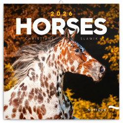 Falinaptár képes lemeznaptár 300x300mm, Horses – Christiane Slawik Realsystem 2026. Író- irodaszer, papíráru Realsystem
