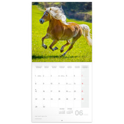 Falinaptár képes lemeznaptár 300x300mm, Horses – Christiane Slawik Realsystem 2026. Író- irodaszer, papíráru Realsystem