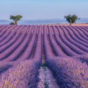 Falinaptár képes lemeznaptár 300x300mm, Provence Realsystem 2027.