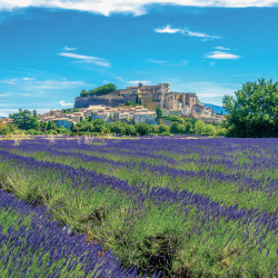 Falinaptár képes lemeznaptár 300x300mm, Provence Realsystem 2027.
