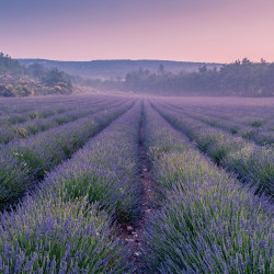 Falinaptár képes lemeznaptár 300x300mm, Provence Realsystem 2027.