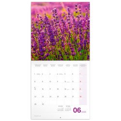 Falinaptár képes lemeznaptár 300x300mm, Provence Realsystem 2026. Író- irodaszer, papíráru Realsystem