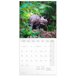 Falinaptár képes lemeznaptár 300x300mm, Endangered Animals Realsystem 2026. Író- irodaszer, papíráru Realsystem