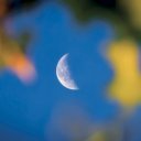 Falinaptár képes lemeznaptár 300x300mm, The Moon Realsystem 2027.