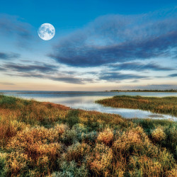 Falinaptár képes lemeznaptár 300x300mm, The Moon Realsystem 2027.